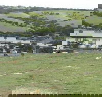 Waves and Wildlife - Northern Rivers Accommodation