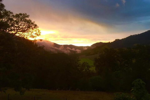 Mount Seaview Resort - Northern Rivers Accommodation 7