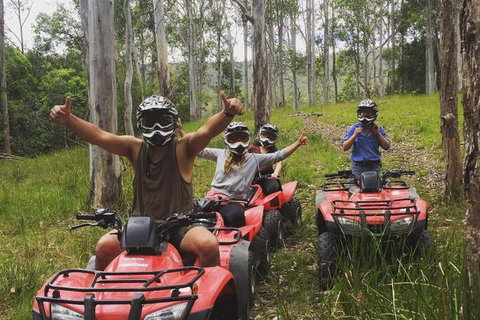 Mount Seaview Resort - Northern Rivers Accommodation 3