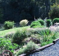 Love Grove Guest House - Northern Rivers Accommodation