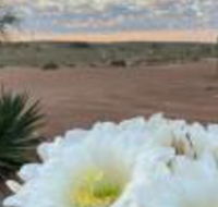 White Cliffs Underground Motel - Northern Rivers Accommodation