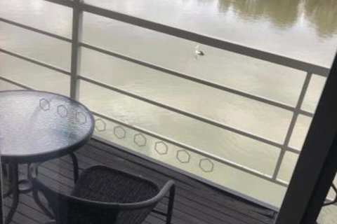 Murray River Queen - Northern Rivers Accommodation 0