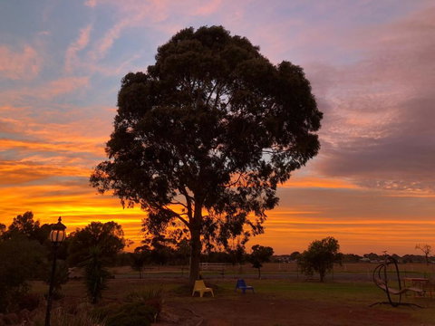 Melbourne Garden Bed & Breakfast - Northern Rivers Accommodation 1