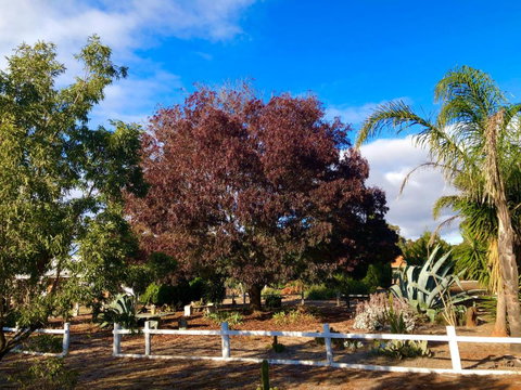 Melbourne Garden Bed & Breakfast - Northern Rivers Accommodation 5