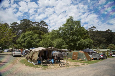 Warburton Holiday Park - Northern Rivers Accommodation 2