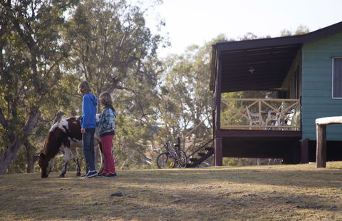Bestbrook Mountain Resort - Northern Rivers Accommodation 4