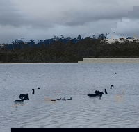 Lake Yalleena Nature Retreat - Northern Rivers Accommodation