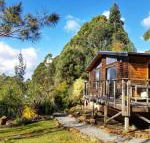 Southern Forest Accommodation - Northern Rivers Accommodation