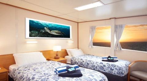 Reef Encounter - Northern Rivers Accommodation 2