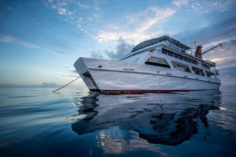 Reef Encounter - Northern Rivers Accommodation 0