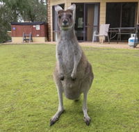 Yelverton Brook Conservation Sanctuary - Northern Rivers Accommodation