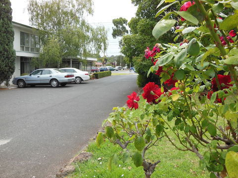Ringwood Motel - Northern Rivers Accommodation 1