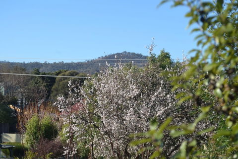 Mulberry Cottage B&B - Northern Rivers Accommodation 5