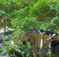 Amber Gardens Guesthouse - Northern Rivers Accommodation