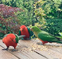 Crimson Villa - Northern Rivers Accommodation