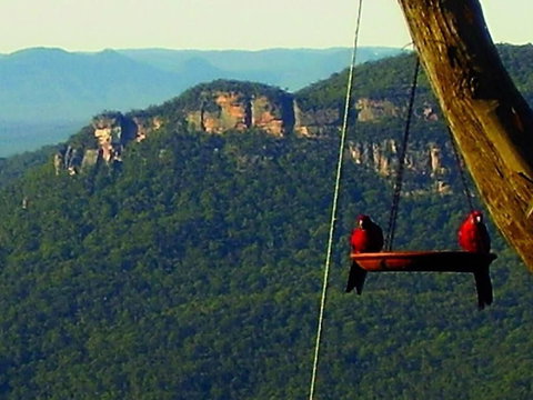 Valley Of The Waters B&B - Northern Rivers Accommodation 3