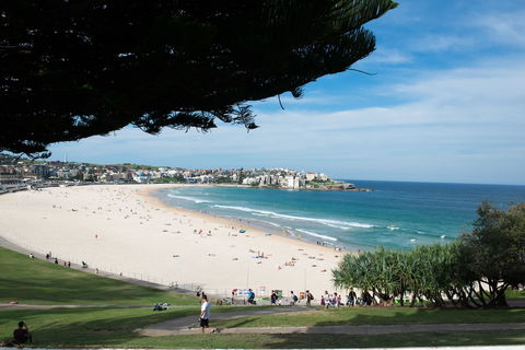 Bondi 38 Serviced Apartments - Northern Rivers Accommodation 0