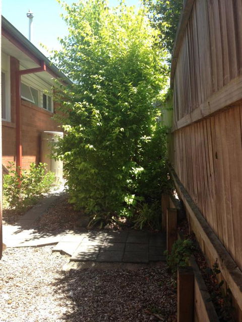 Thornleigh Garden View Comfortable & Tranquil - Northern Rivers Accommodation 7