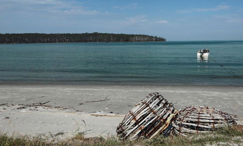 Rock Lobster - Northern Rivers Accommodation 5