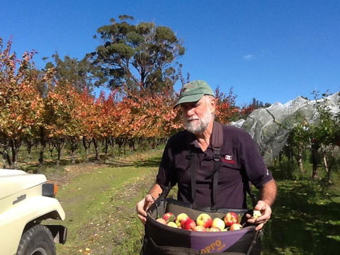 Eureka Farm - Northern Rivers Accommodation 1