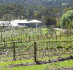 Eureka Farm - Northern Rivers Accommodation
