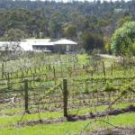 Eureka Farm - Northern Rivers Accommodation 0
