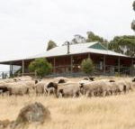Gilgraves Vineyard Farmstay - Northern Rivers Accommodation