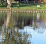 Wentworth Wharf B  B - Northern Rivers Accommodation