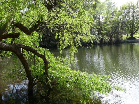 Lakeview On Sycamore - Northern Rivers Accommodation 1