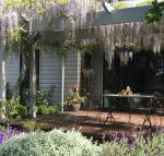 Windrush BnB Comboyne Australia - Northern Rivers Accommodation