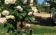 Petschel House - thumb 3