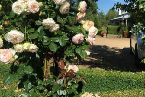 Petschel House - Northern Rivers Accommodation 3