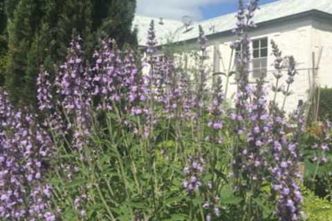 Petschel House - Northern Rivers Accommodation 1