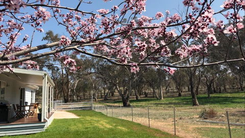 Rosewood Cottage - Northern Rivers Accommodation 3