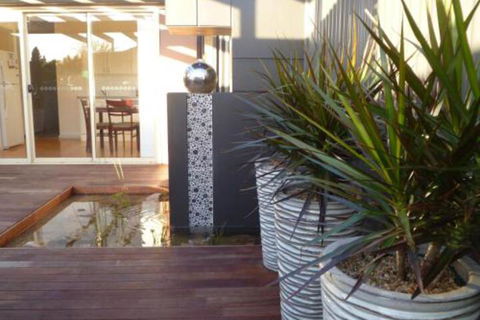The Wet Lizard - Northern Rivers Accommodation 0