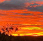 Studio with stunning mountain views - Northern Rivers Accommodation