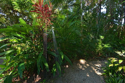 Drifting Port Douglas - Northern Rivers Accommodation 5