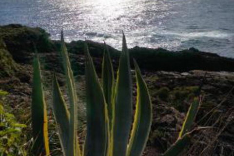 Ven & Marks Place - Northern Rivers Accommodation 0