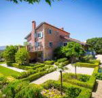 Talits Vineyard Estate - Northern Rivers Accommodation