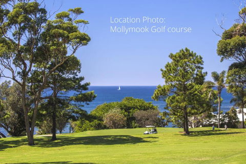 Mollymooks Tee To Sea 19 Buchan Street - Northern Rivers Accommodation 2