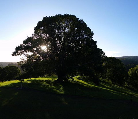 Valleydale Cottage - Northern Rivers Accommodation 1