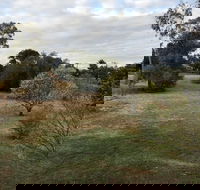 Young Budget Accommodation - Northern Rivers Accommodation