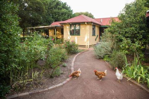 Malakai Farm Stay - Northern Rivers Accommodation 2