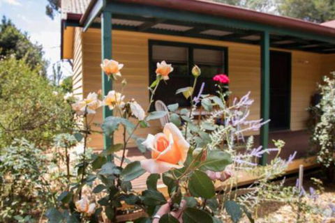 Malakai Farm Stay - Northern Rivers Accommodation 3