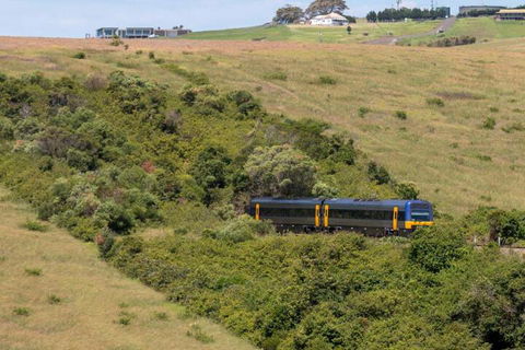 Absolute Oceanfront Cottage - Northern Rivers Accommodation 4