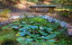 Fernview On Falls - thumb 6