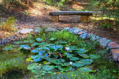Fernview On Falls - Northern Rivers Accommodation 6