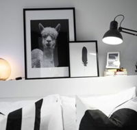 105flora Cozy Stay Prahran Lively Neighbour - Northern Rivers Accommodation
