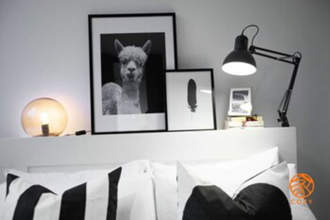 105flora Cozy Stay Prahran Lively Neighbour - Northern Rivers Accommodation 0