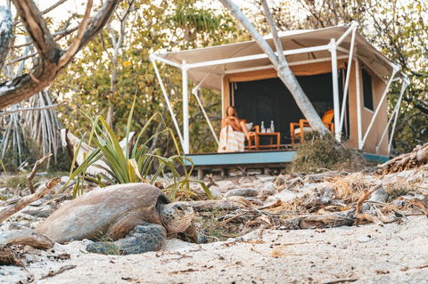 Wilson Island - Northern Rivers Accommodation 0